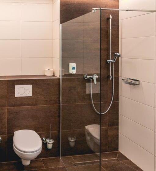 스탠다드 트리플 룸, Lokomotive