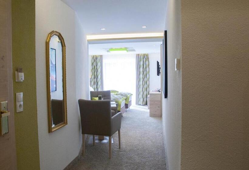 Номер Deluxe Вид на Горы, Neder