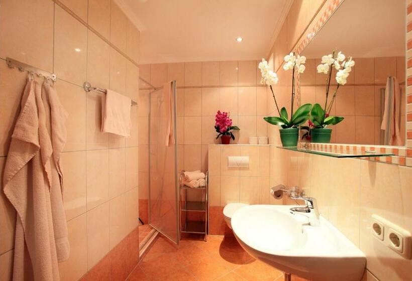 マウンテンビュースタンダードルーム, Gasthaus Obergaisberg