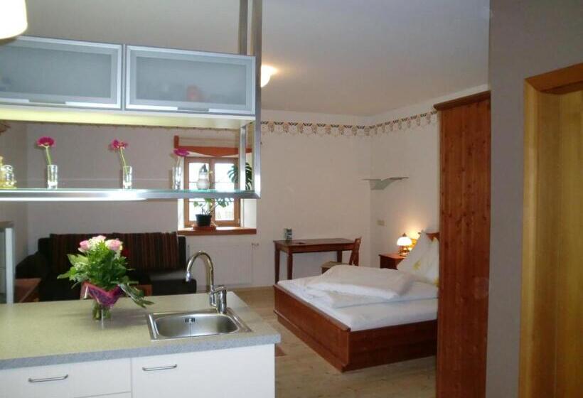 带1个卧室的公寓, Gasthof Salzstadl