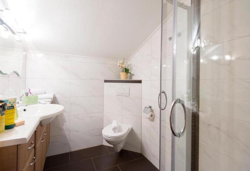 침실 1개 전망 아파트, Biohof Maurachgut