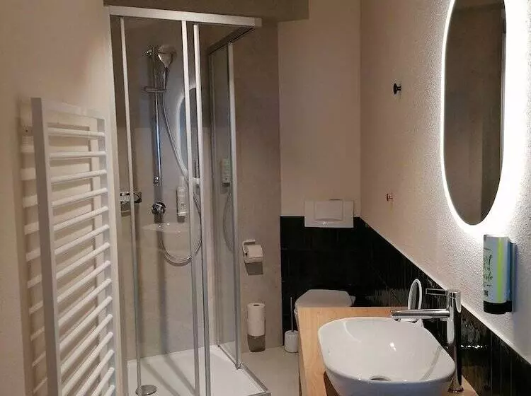 اتاق استاندارد یک نفره, Familienhotel Felsenhof