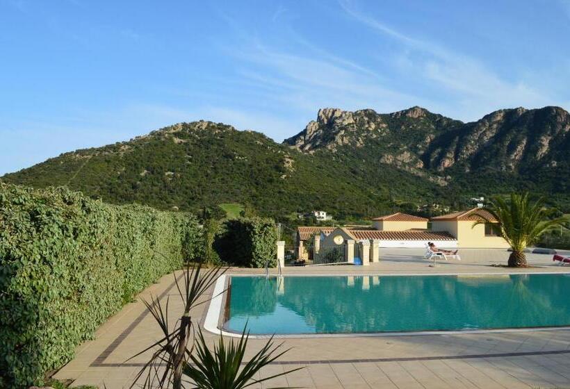 Standart Oda, Cardedu