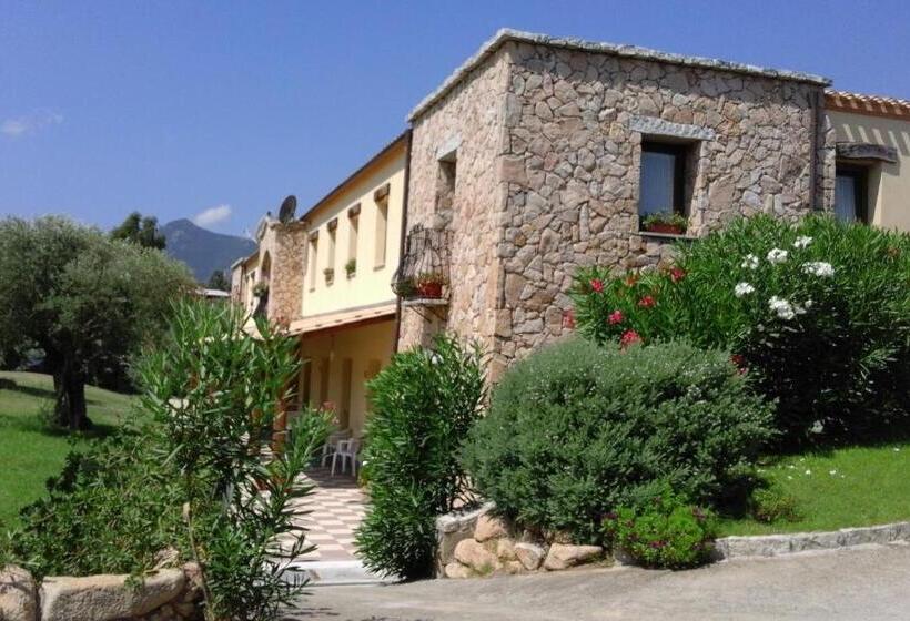 Standart Oda, Cardedu