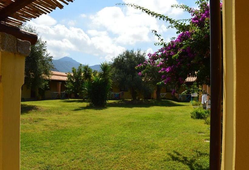 Standart Oda, Cardedu