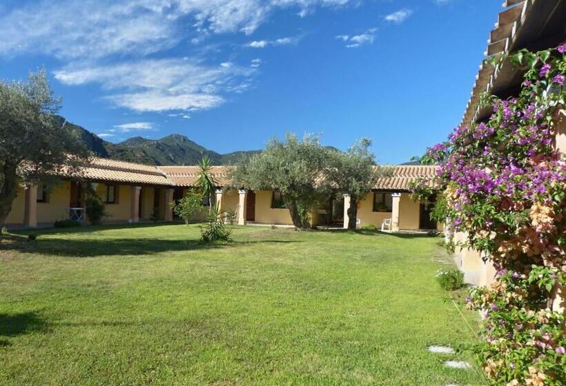 Standart Oda, Cardedu