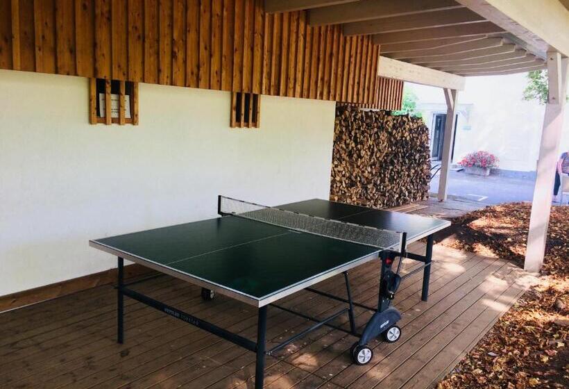 דירה בת חדר שינה 1 עם מרפסת, Garni Wurzer