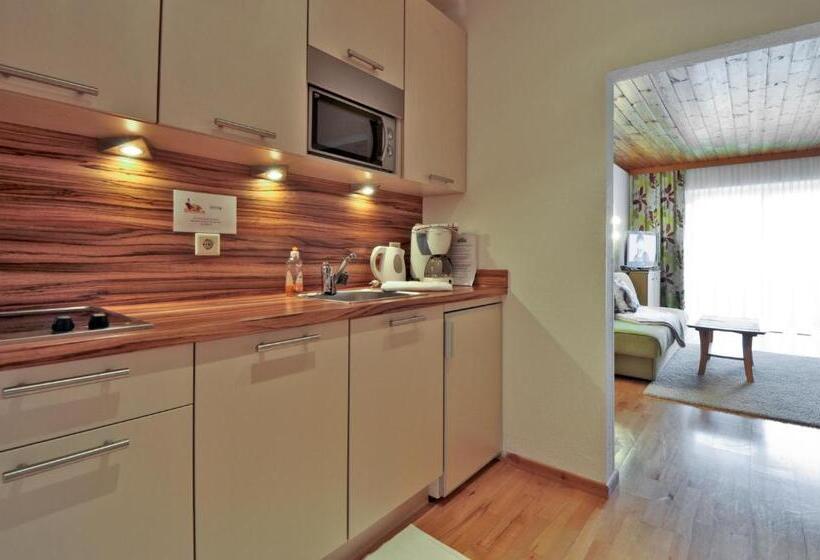 דירה בת חדר שינה 1 עם מרפסת, Garni Wurzer