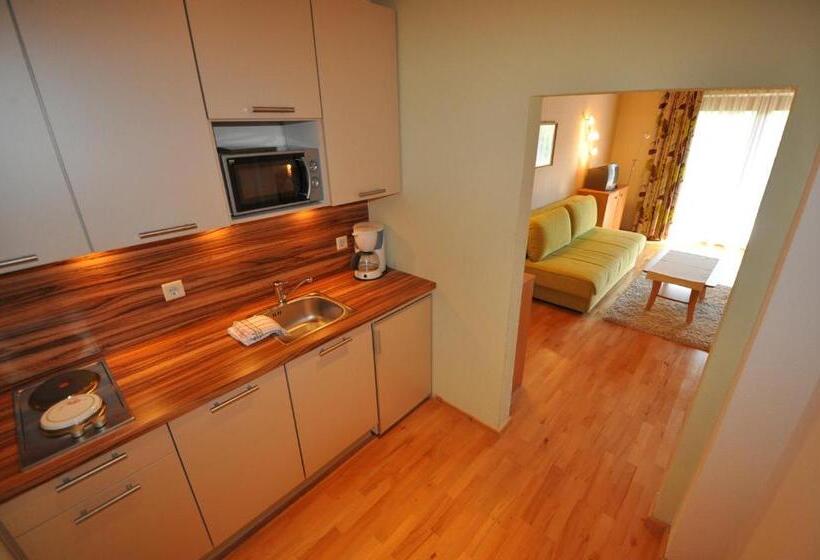 סטודיו סטנדרט עם מרפסת, Garni Wurzer