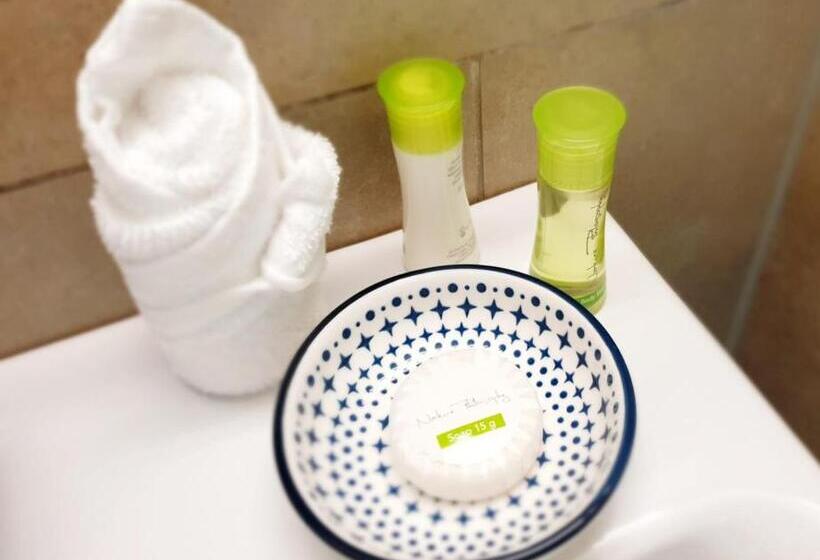 חדר סטנדרט יחיד, Garni Wurzer