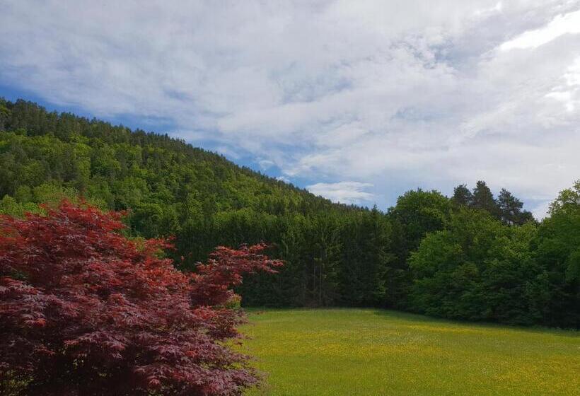 חדר סטנדרט נוף לאגם, Garni Wurzer