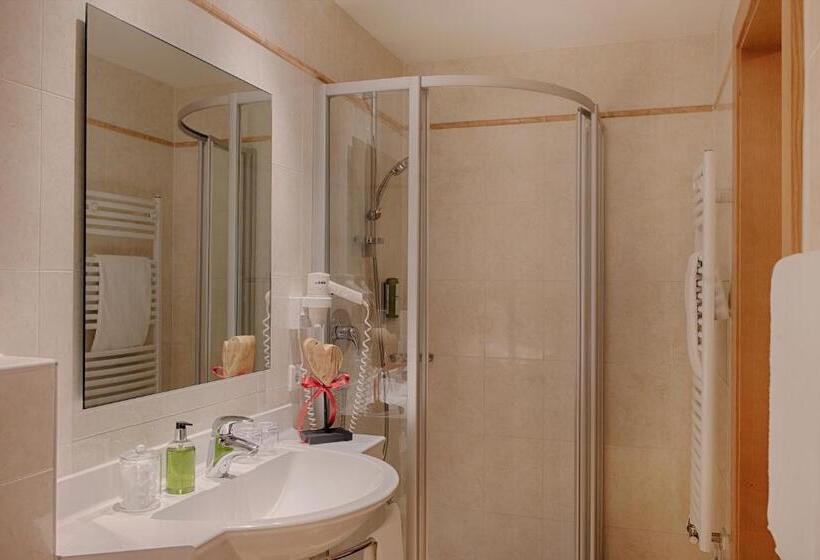 חדר סטנדרט יחיד, Reischach