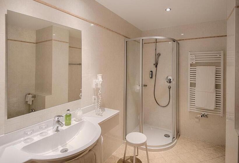 חדר סטנדרט, Reischach