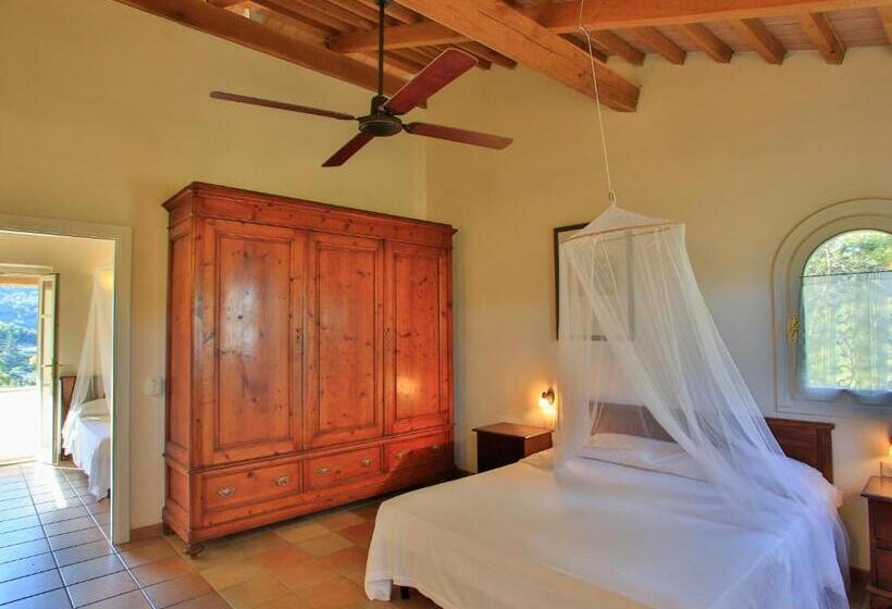 شقة من غرفة نوم واحدة متصلة, Santo Stefano