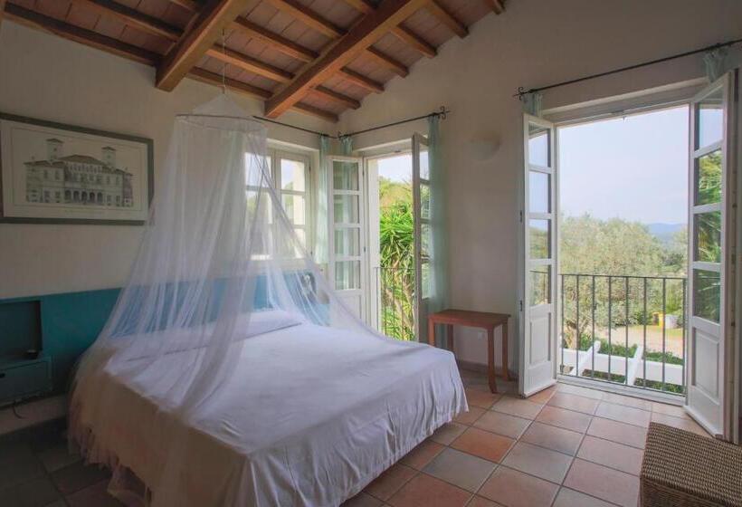 غرفة قياسية مزوَّدة بتراس, Santo Stefano