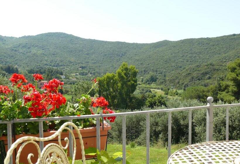 غرفة قياسية مزوَّدة بتراس, Santo Stefano