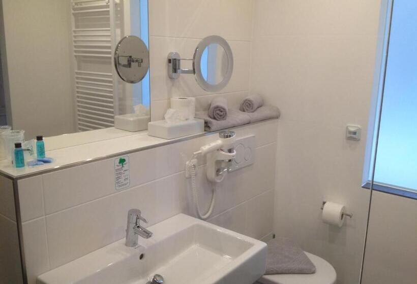 Номер Deluxe Вид на Озеро, Seehotel Lilly