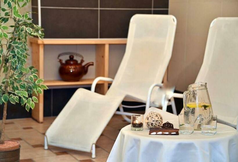 חדר סטנדרט עם מרפסת, Tyrol Plose