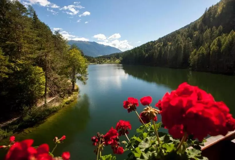Superior room with lake view, Parkhotel Tristachersee