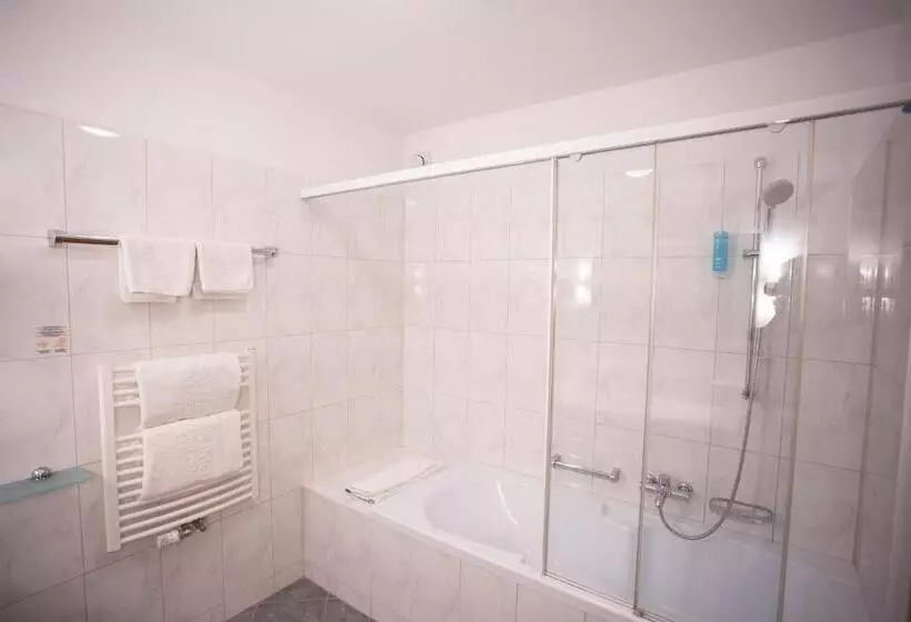 Superior room with lake view, Parkhotel Tristachersee