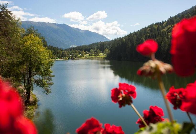 Superior room with lake view, Parkhotel Tristachersee