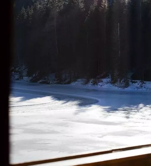 Superior room with lake view, Parkhotel Tristachersee