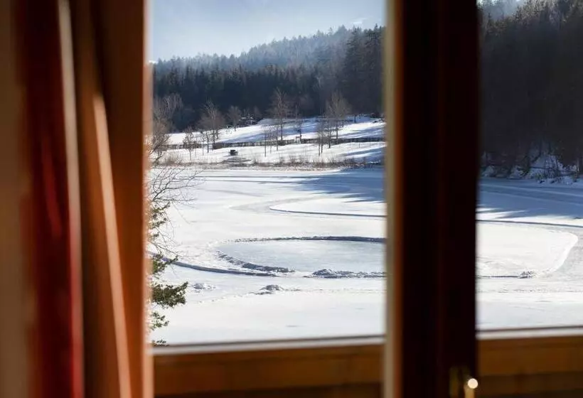 Superior room with lake view, Parkhotel Tristachersee