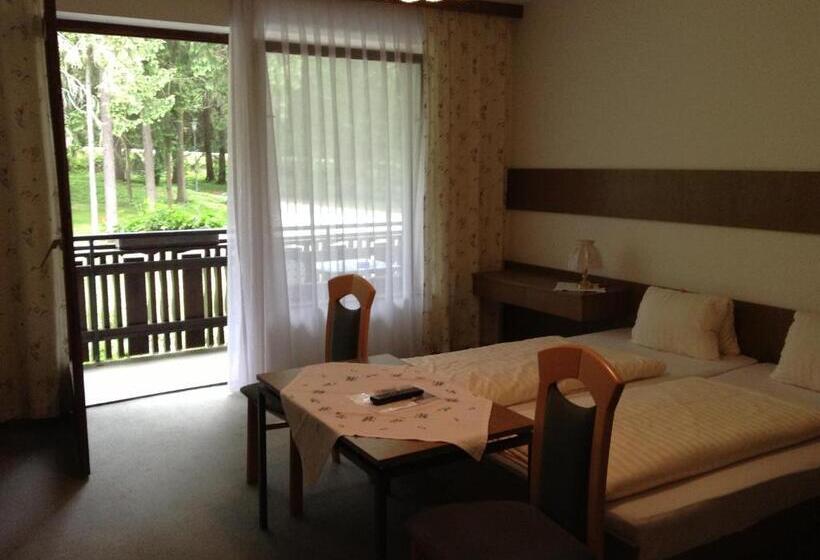 스탠다드 룸, Parkhotel Zuzek