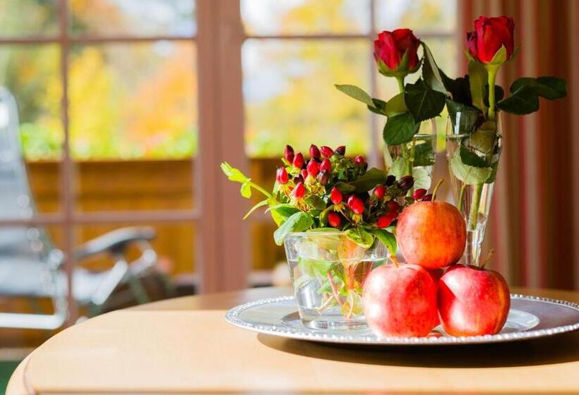 סוויטת ג'וניור, Fischerwirt Natur Waldspa