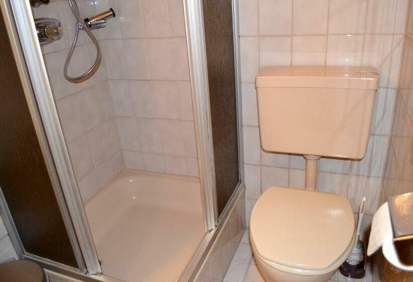 バルコニー付きシングルスタンダードルーム, Gästehaus Pfisterer