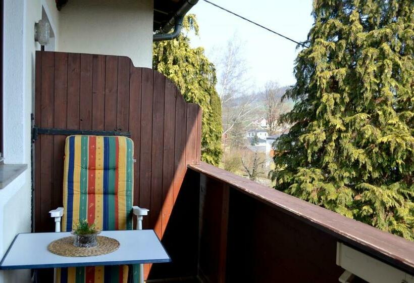 バルコニー付きシングルスタンダードルーム, Gästehaus Pfisterer