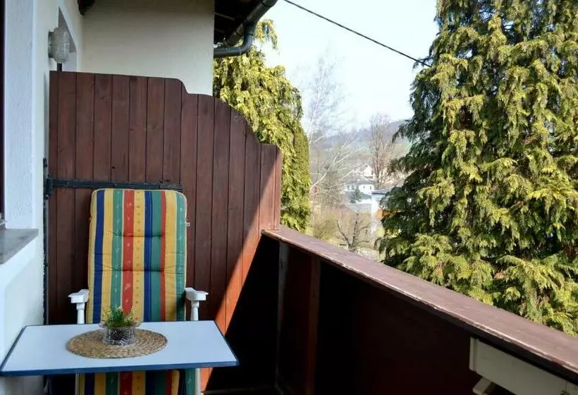バルコニー付きシングルスタンダードルーム, Gästehaus Pfisterer