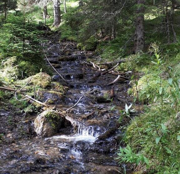 バルコニー付２ベッドルームアパートメント, Simonbauerhof