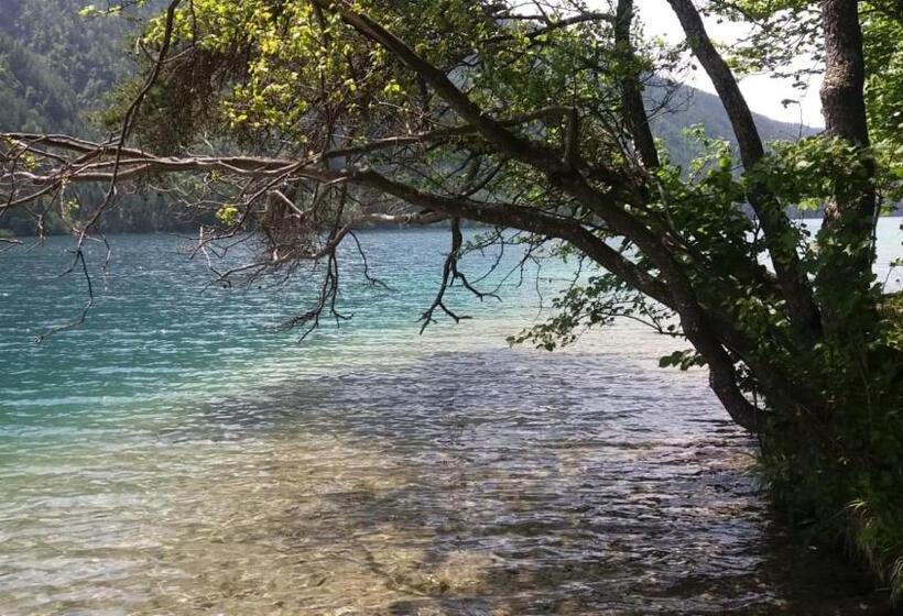 バルコニー付２ベッドルームアパートメント, Simonbauerhof