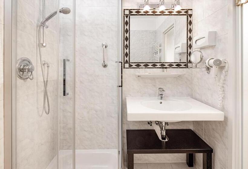 Номер Стандарт Индивидуальный, Classic Hotel Meranerhof