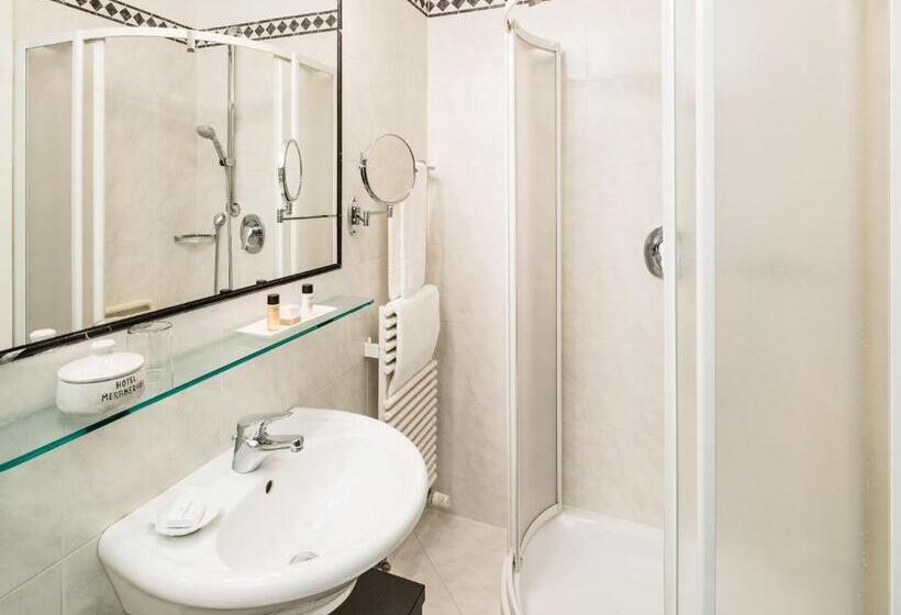 Номер Стандарт Индивидуальный, Classic Hotel Meranerhof