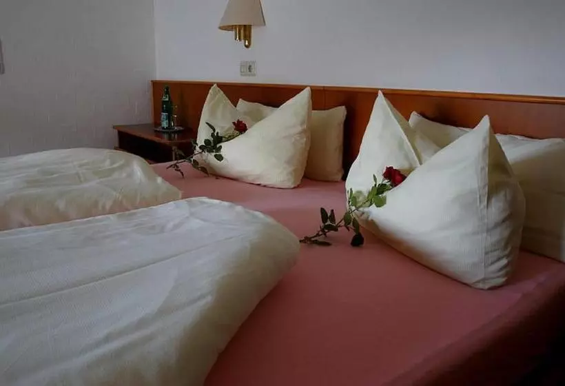 スタンダードルーム, Elektro Hotel Rosenhaus Gmbh