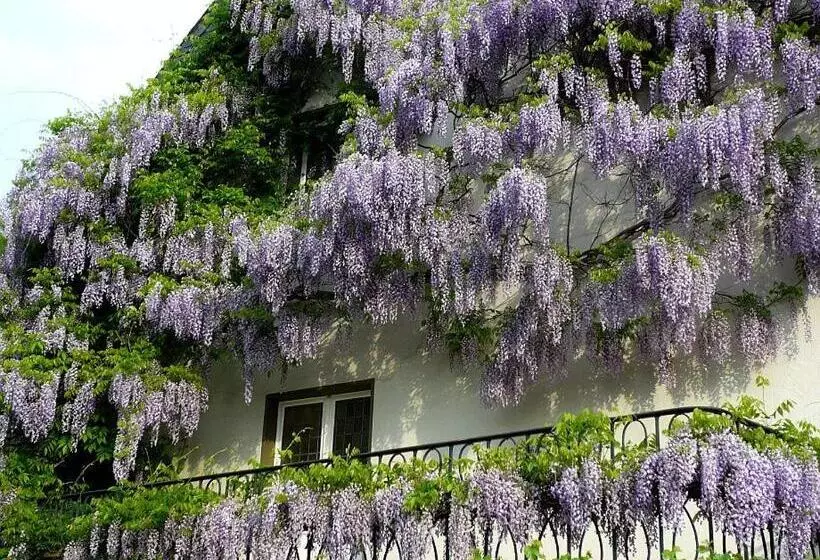 スタンダードシングルルーム, Elektro Hotel Rosenhaus Gmbh