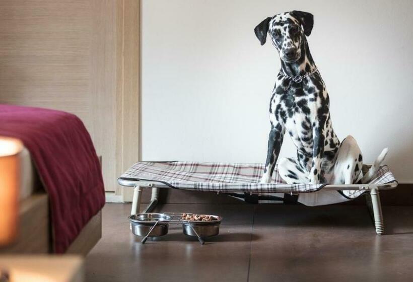 Номер Стандарт, Adria