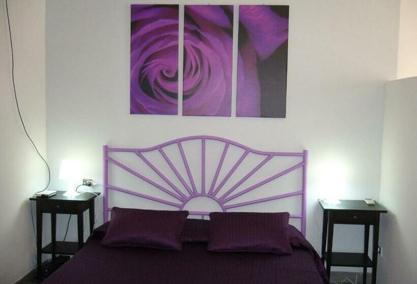 غرفة قياسية, Cuore Di Palme