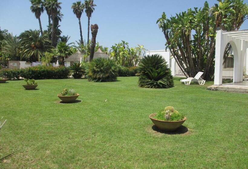 شقة غرفة واحدة, Cuore Di Palme