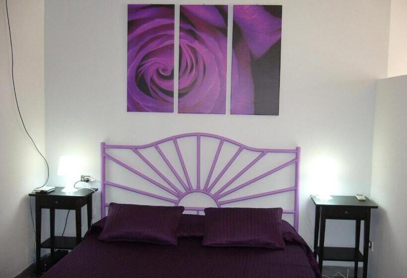 شقة غرفة واحدة, Cuore Di Palme