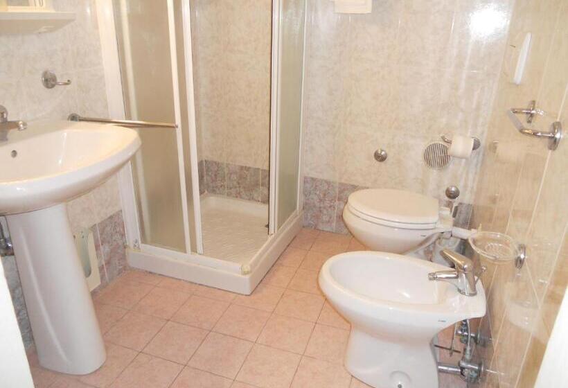 غرفة قياسية, Salus