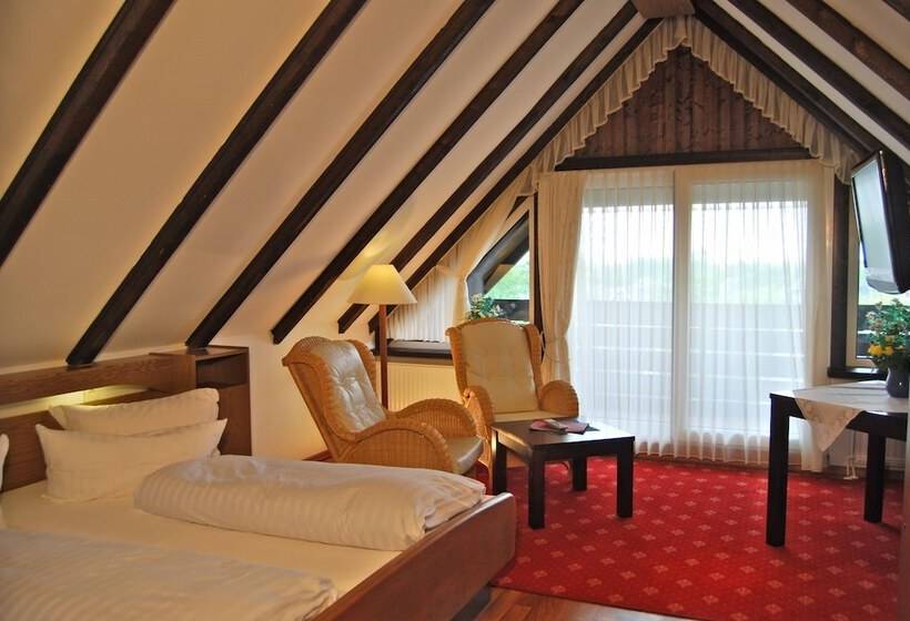 Номер Economy, Wohlfühlhotel Hörn Van Diek Garni Mit Schwimmbad