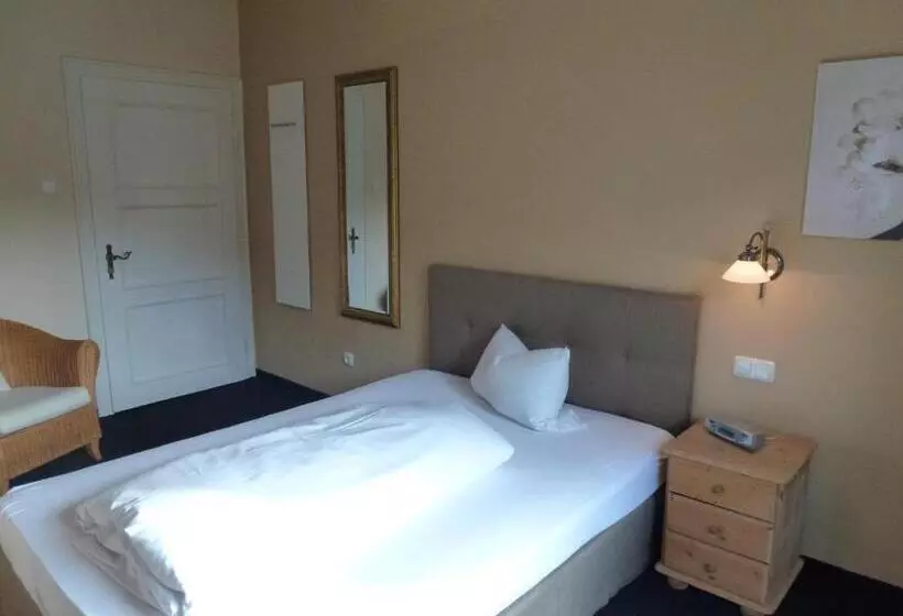 اتاق استاندارد یک نفره, Alpenhof Landhotel Restaurant