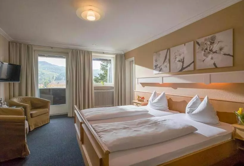 اتاق اکونومی, Alpenhof Landhotel Restaurant