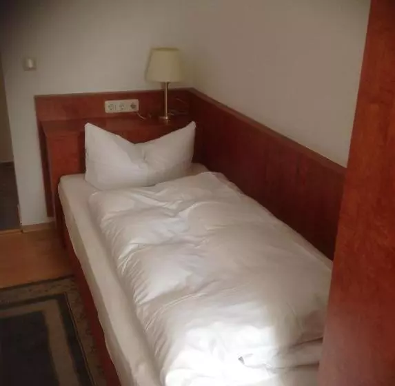 スタンダードシングルルーム, Pension Altstadt Garni