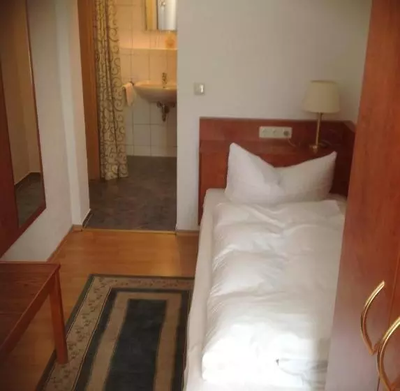 スタンダードシングルルーム, Pension Altstadt Garni