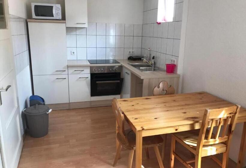 Апартаменты 2 Спальни, Pension Altstadt Garni