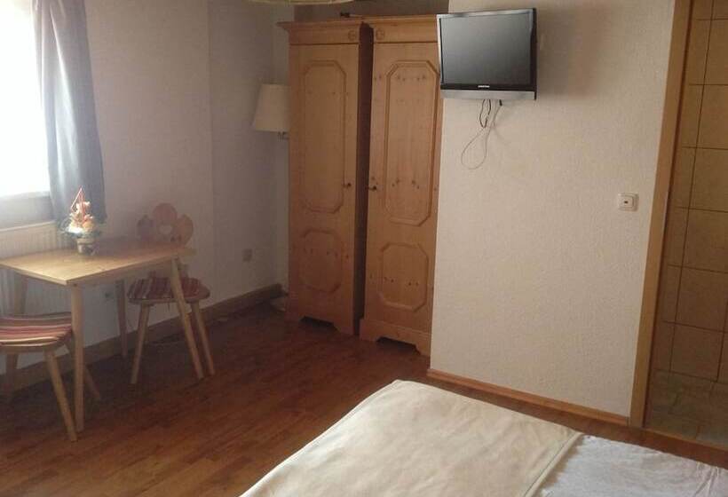 חדר סטנדרט יחיד, Pension Altstadt Garni